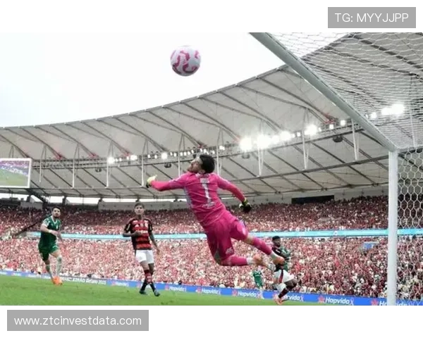 帕尔梅拉斯逆转晋级解放者杯决赛再创辉煌争夺第4冠